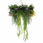 Hanging basket with green plants on a white background