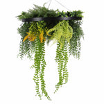 Hanging plant with green leaves and yellow flowers on a white background