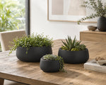 Three black planters with green plants on a wooden table in a room with a window and furniture.
