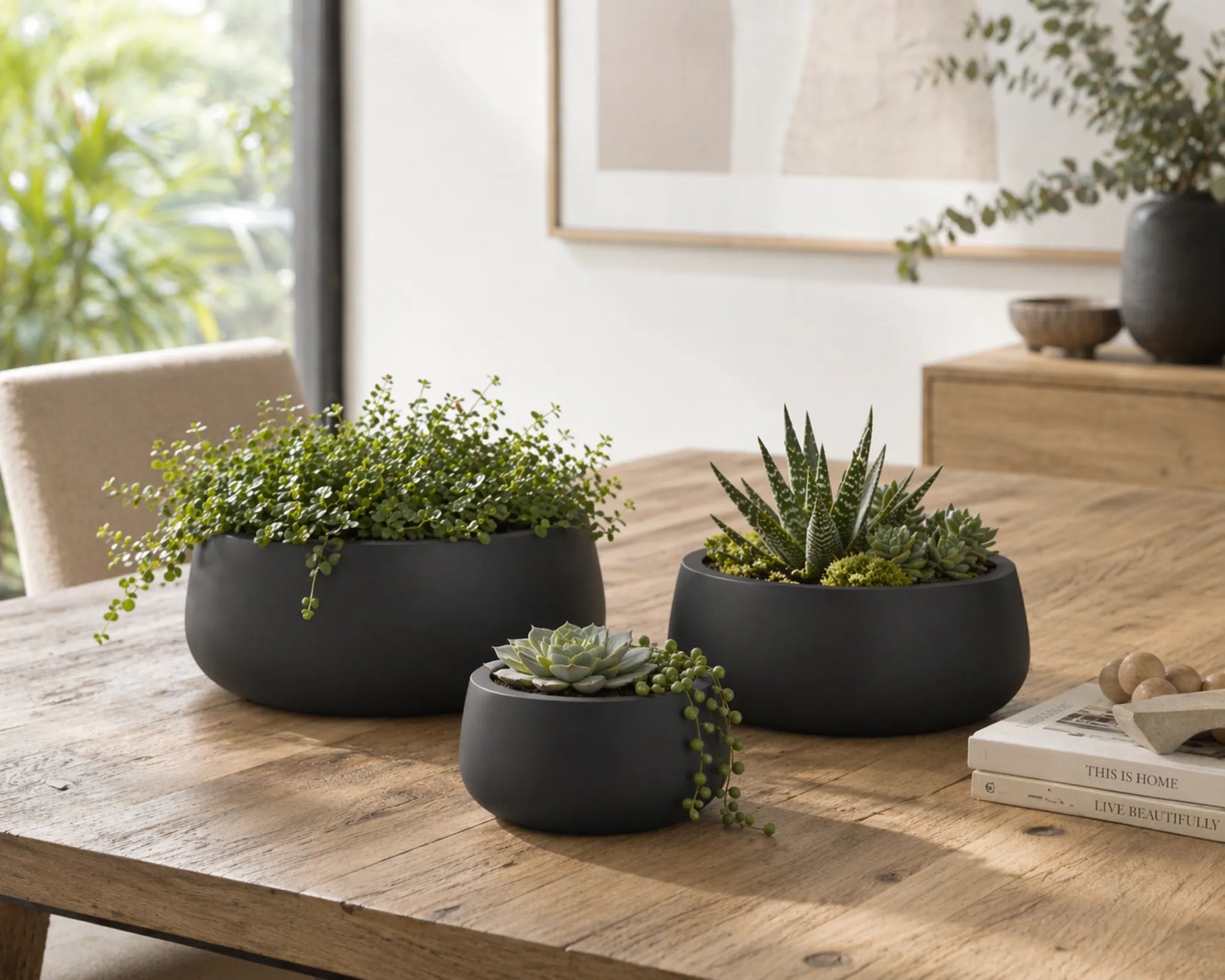 Three black planters with green plants on a wooden table in a room with a window and furniture.