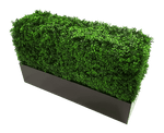 Rectangular artificial green hedge with a black base on a transparent background