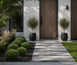 Modern house entrance with a wooden door, potted plants, and a stone pathway.