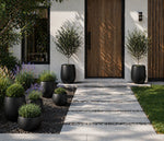 Modern front door with black planters and decorative plants on a stone pathway.