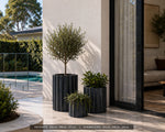 Decorative potted plants in front of a modern house with a pool in the background