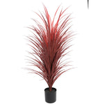 Potted plant with red leaves on a white background