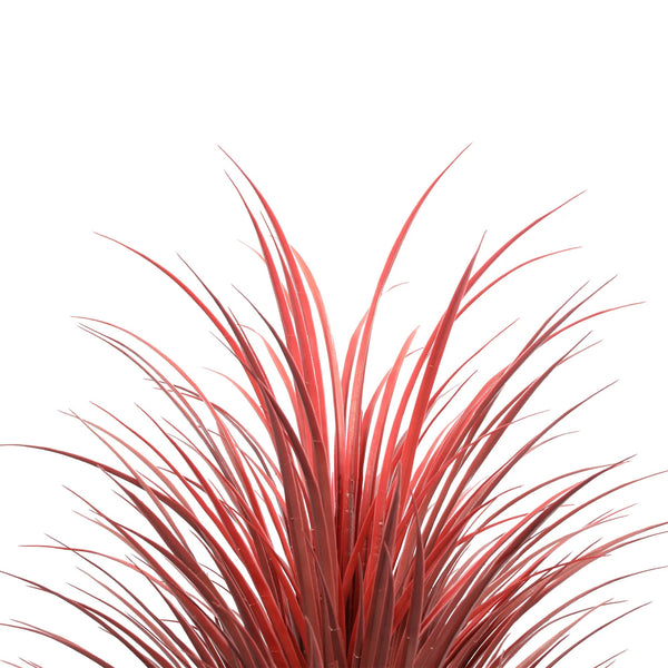 Burgundy Bliss Yucca Grass 115cm UV and Weather Resistant — gallery image 6