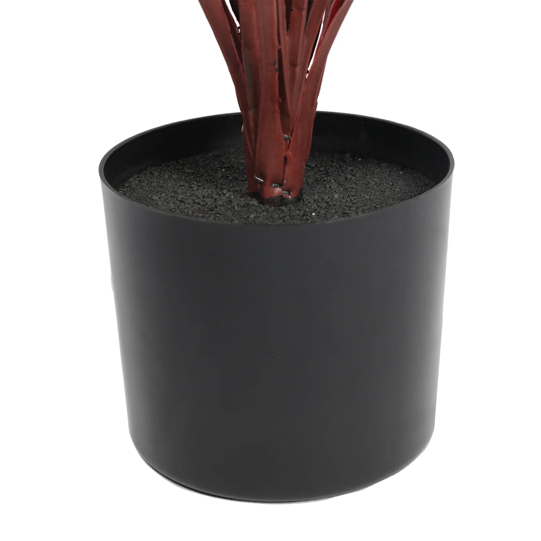 Black planter with a red plant on a white background