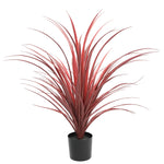 Potted plant with red leaves on a white background