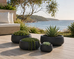 Black planters with succulents on a wooden deck by the ocean