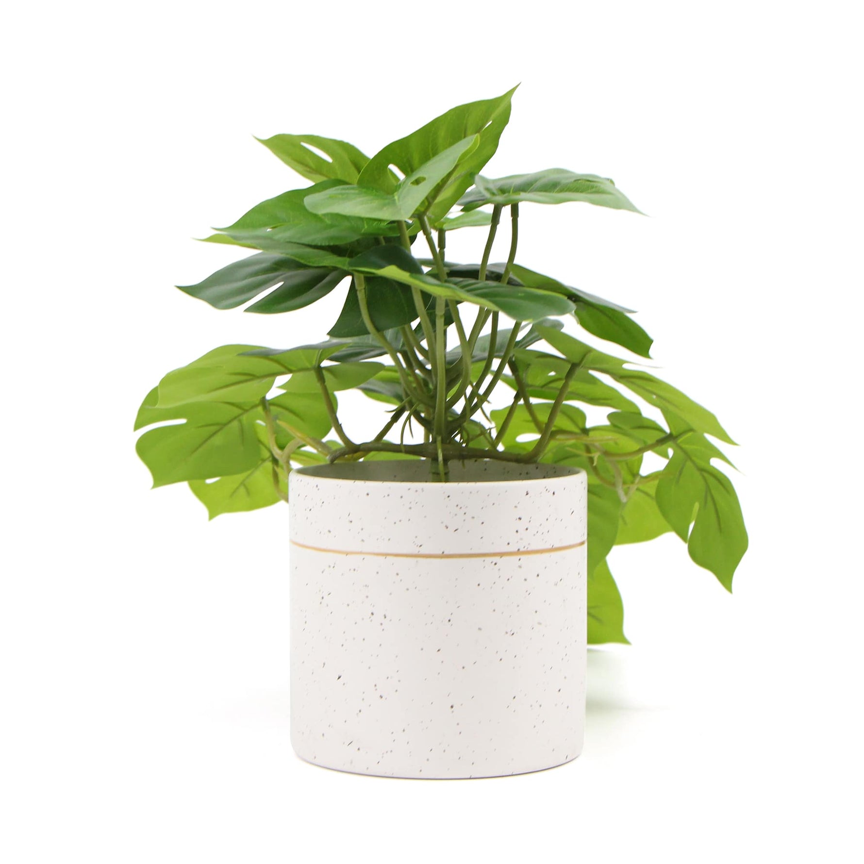 Decorative Ceramic Bowl Potted Artificial Monstera Plant 30cm - Designer Vertical Gardens artificial indoor plants artificial monstera in pot