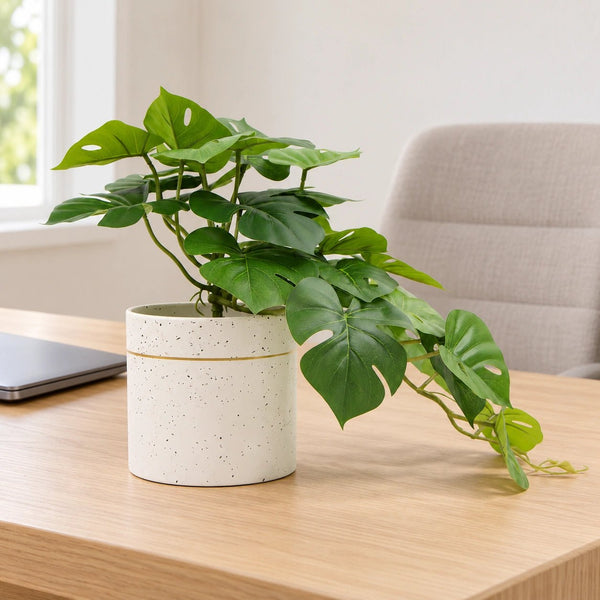 Decorative Ceramic Bowl Potted Artificial Monstera Plant 30cm — gallery image 18