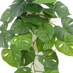 Artificial monstera plant leaves on a white background