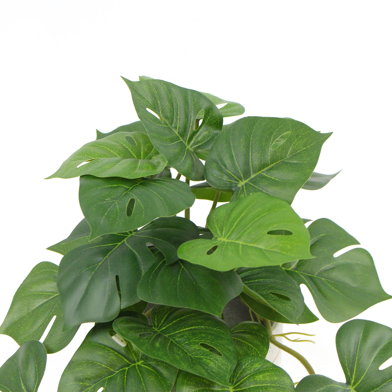 Decorative Ceramic Bowl Potted Artificial Monstera Plant 30cm - Designer Vertical Gardens artificial indoor plants artificial monstera in pot