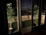 Deluxe Portable Bright Buxus Hedge 100cm x 50cm - UVTEX Certified UV Resistant - Designer Vertical Gardens artificial vertical green wall Portable Hedges