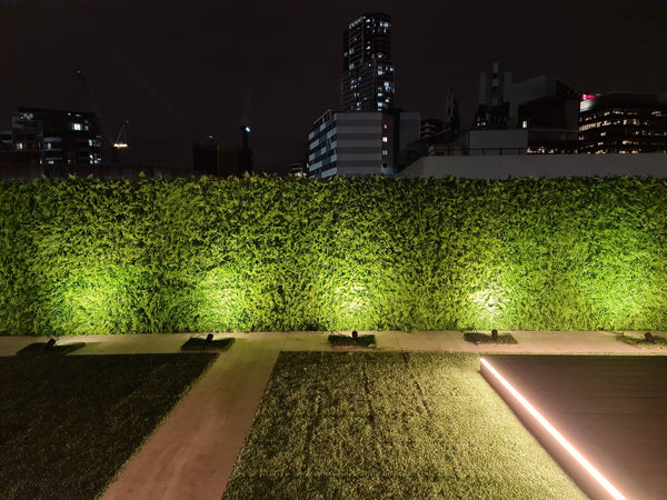 Luxury Dense Fern Vertical Garden Green Wall Panel 1m x 1m – SGS UV Resistant — gallery image 9