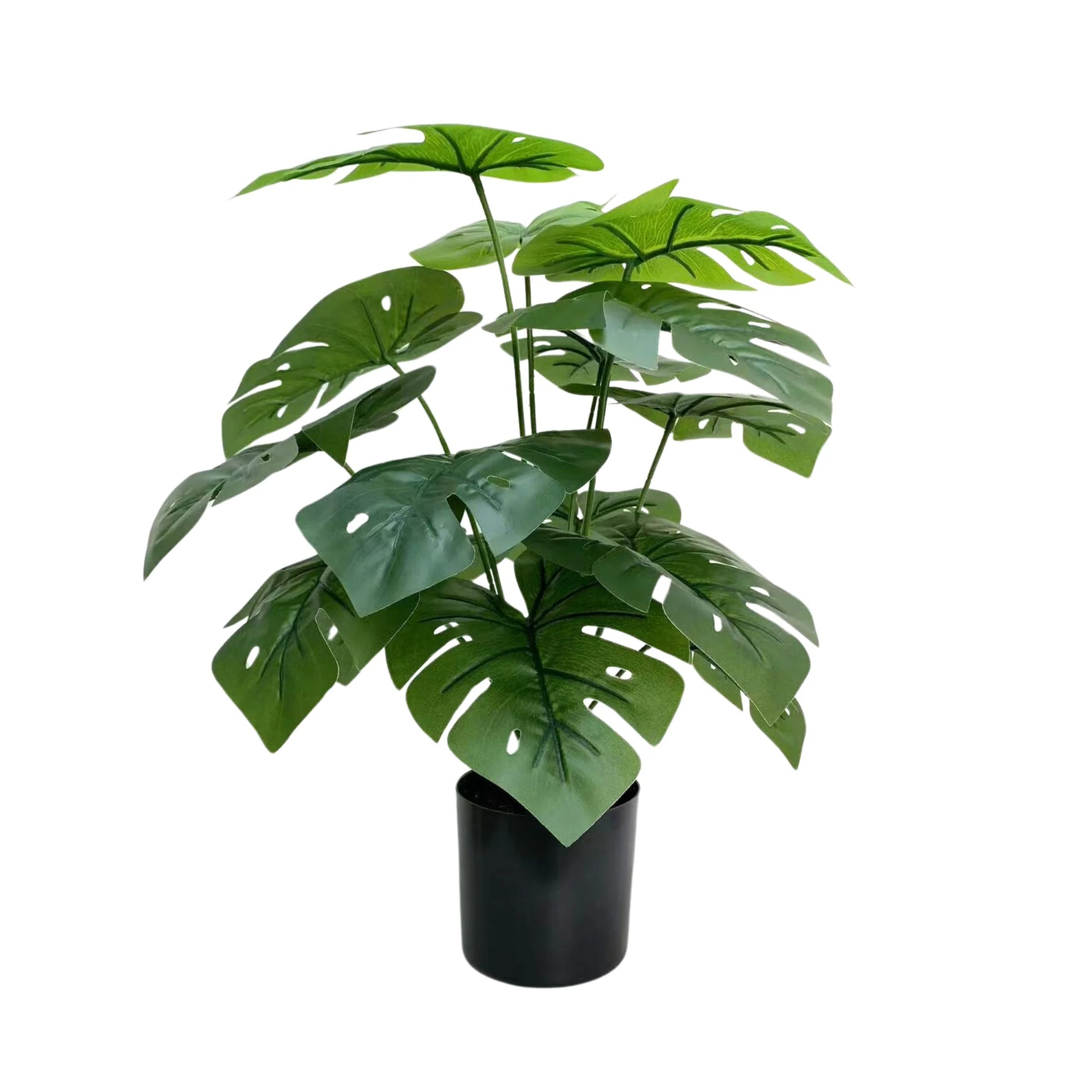 Lush Mini Monstera Plant – Decorative Potted Greenery (50cm) - back view