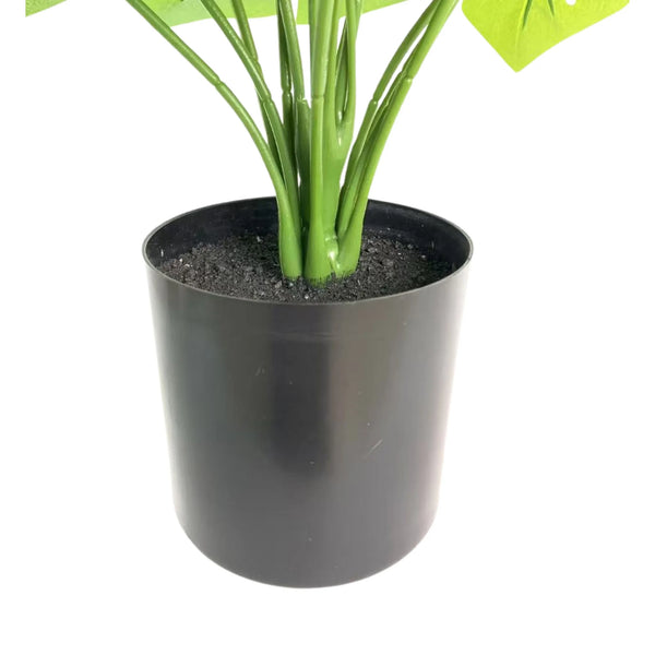 Lush Mini Monstera Plant – Decorative Potted Greenery (50cm) — gallery image 5