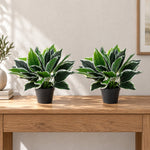 Dense Potted Artificial Calathea Plant 35cm - Designer Vertical Gardens Artificial Shrubs and Small plants Artificial Trees