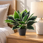 Dense Potted Artificial Calathea Plant 35cm - Designer Vertical Gardens Artificial Shrubs and Small plants Artificial Trees