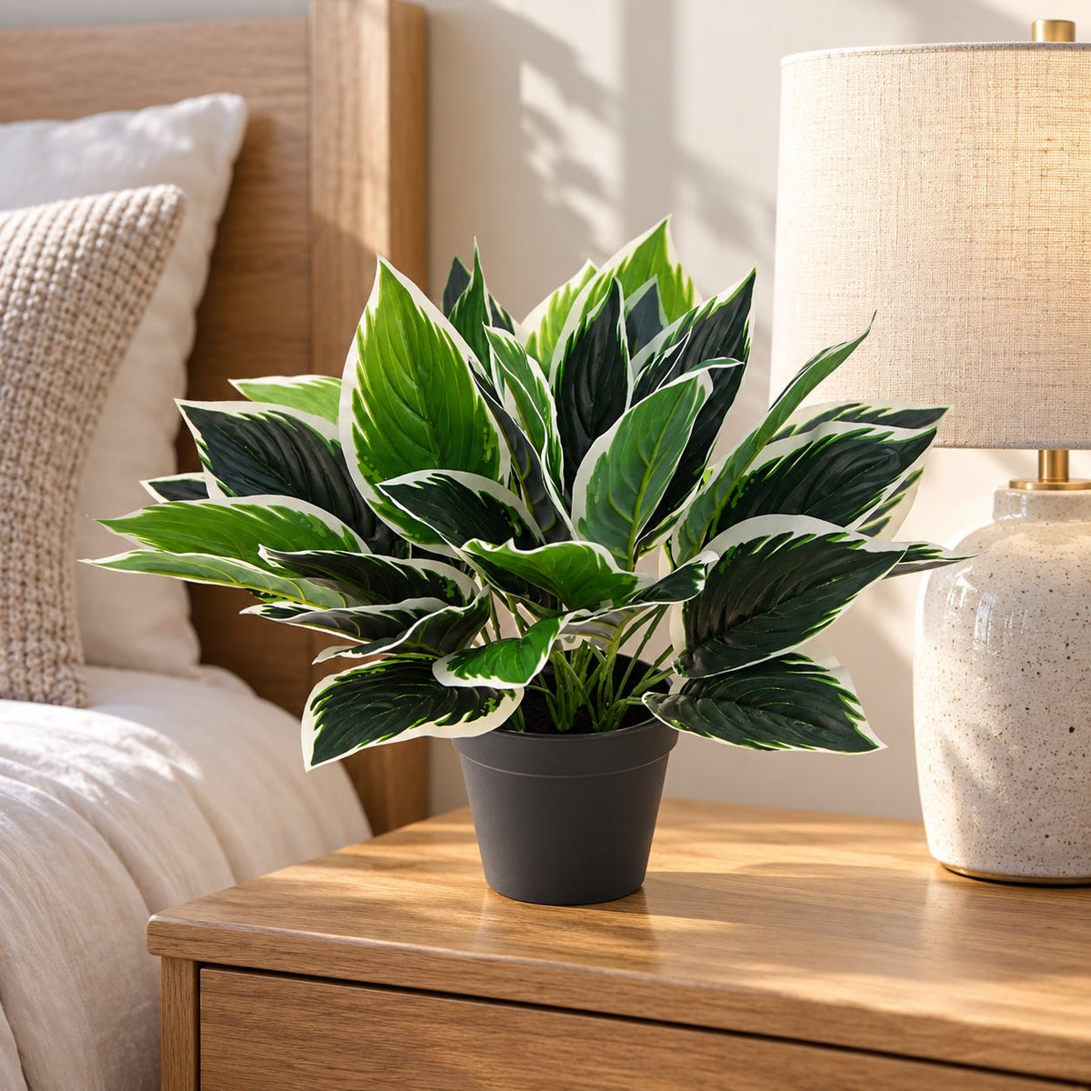 Dense Potted Artificial Calathea Plant 35cm - Designer Vertical Gardens Artificial Shrubs and Small plants Artificial Trees