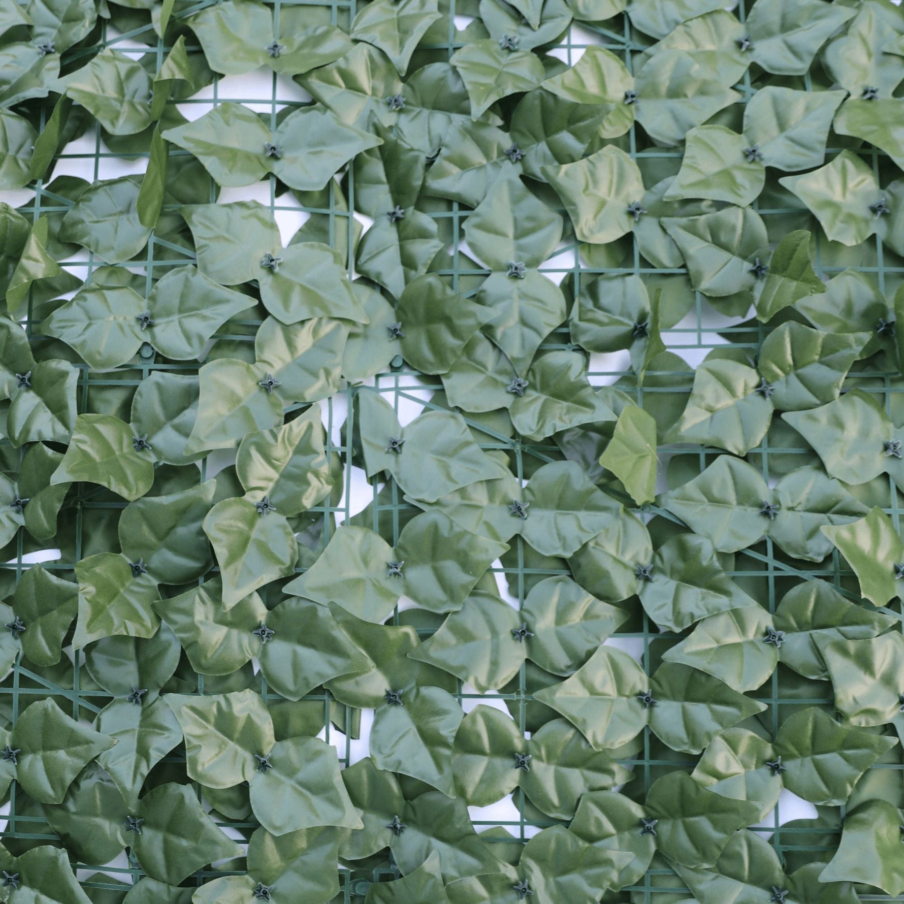 Double - Sided Artificial Ivy Roll 3m x 1m - UV Resistant Privacy Hedge - Designer Vertical Gardens artificial green wall sydney artificial green walls for events