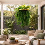 Hanging fern plant in a garden setting with outdoor furniture and plants.