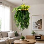 Hanging green plant in a living room with a couch and decor.