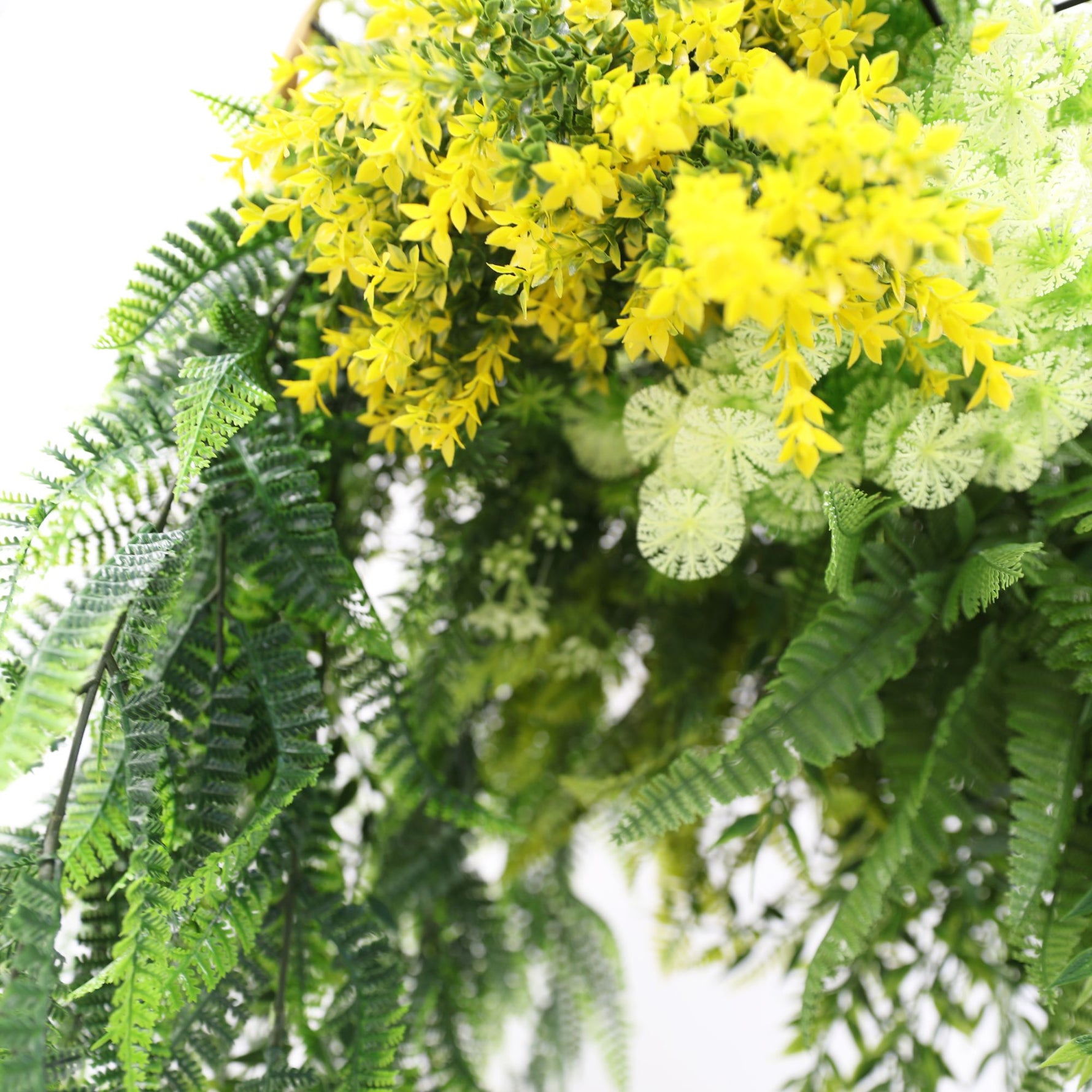 Close-up of a bouquet with yellow flowers and green leaves on a white background