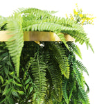 Artificial fern plant with a gold circular frame on a white background