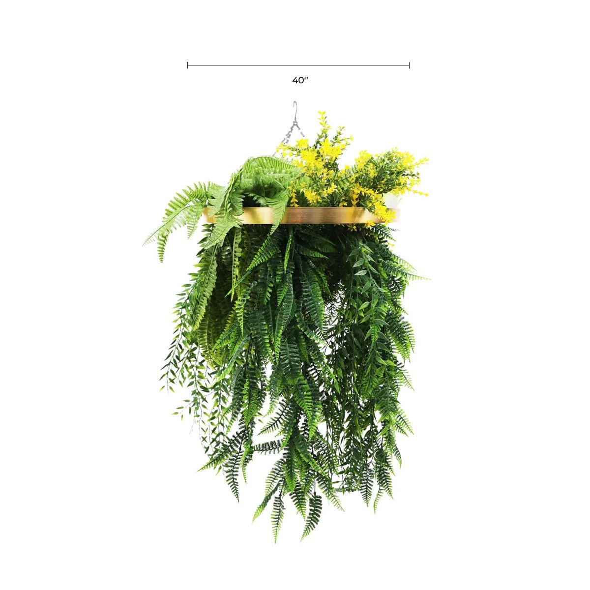 Hanging plant with green leaves and yellow flowers on a white background