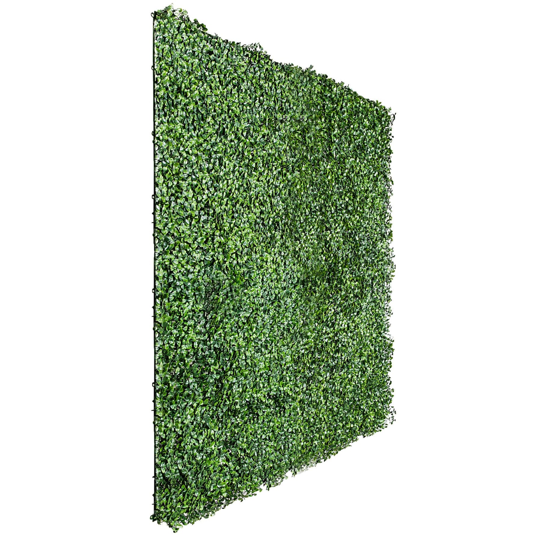 English Boxwood Artificial Hedge Panel 1m x 1m – SGS UV Resistant - Designer Vertical Gardens artificial garden wall plants artificial green wall australia