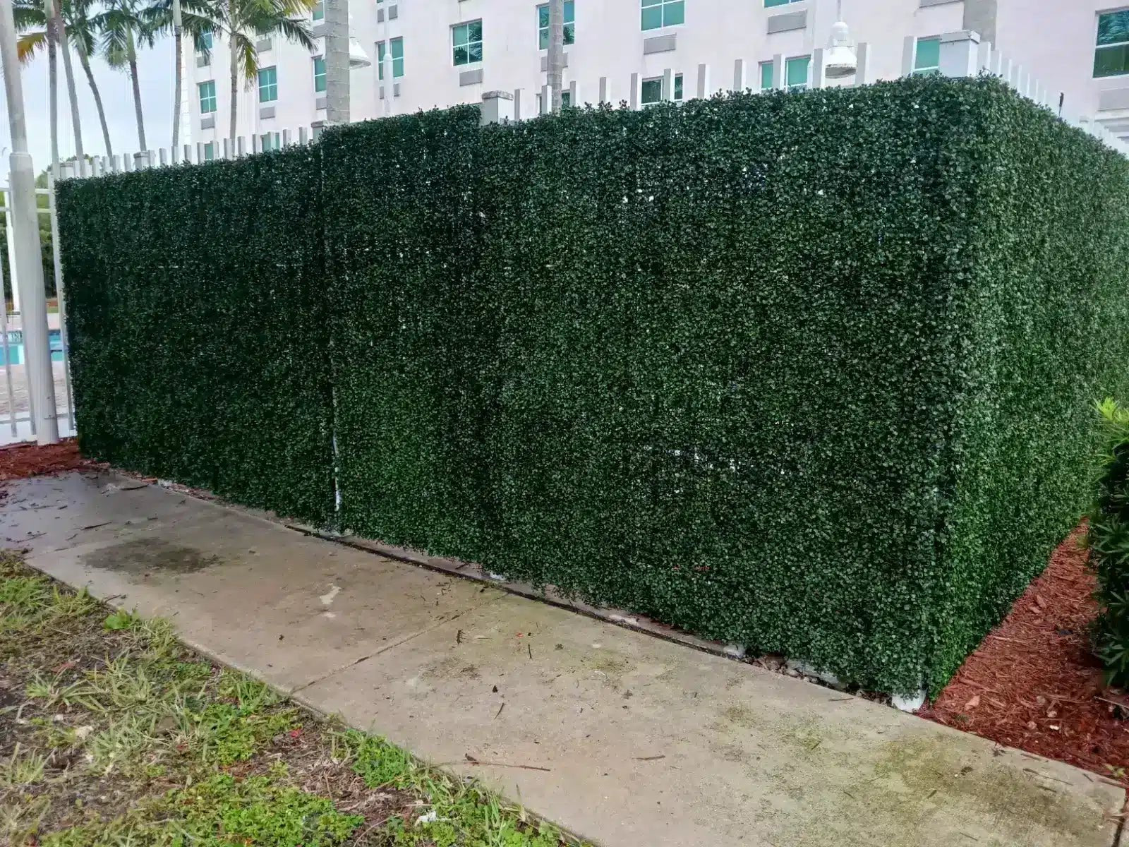 English Boxwood Artificial Hedge Panel 1m x 1m – SGS UV Resistant - Designer Vertical Gardens artificial garden wall plants artificial green wall australia