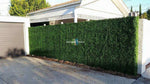 English Boxwood Artificial Hedge Panel 1m x 1m – SGS UV Resistant - Designer Vertical Gardens artificial garden wall plants artificial green wall australia