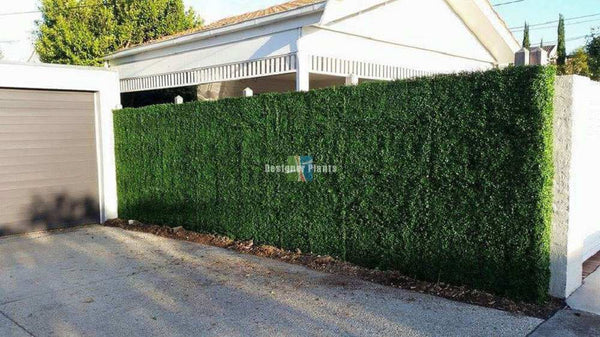 English Boxwood Artificial Hedge Panel 1m x 1m – SGS UV Resistant — gallery image 16