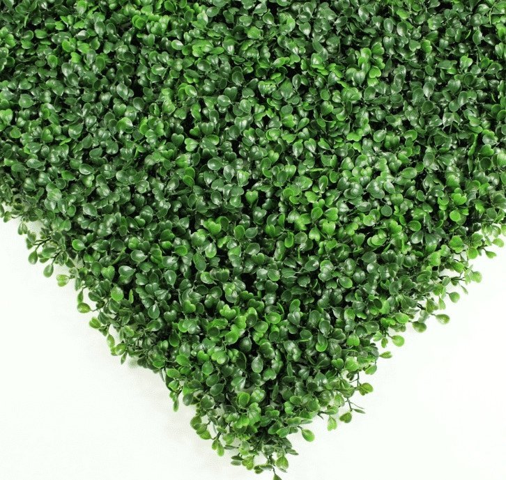 English Boxwood Artificial Hedge Panel 1m x 1m – SGS UV Resistant - Designer Vertical Gardens artificial garden wall plants artificial green wall australia
