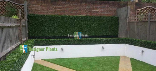 English Boxwood Artificial Hedge Panel 1m x 1m – SGS UV Resistant - image 18