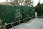 English Boxwood Artificial Hedge Panel 1m x 1m – SGS UV Resistant - Designer Vertical Gardens artificial garden wall plants artificial green wall australia