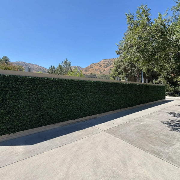 English Boxwood Artificial Hedge Panel 1m x 1m – SGS UV Resistant - image 26