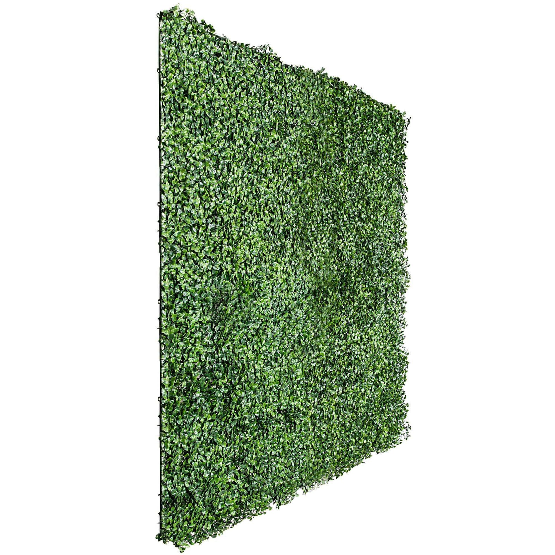 English Boxwood Artificial Hedge Panel Green Wall 1m x 1m UV Resistant - Designer Vertical Gardens artificial garden wall plants artificial green wall australia
