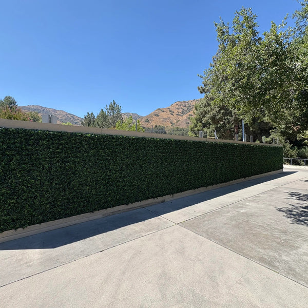 English Boxwood Artificial Hedge Panel 1m x 1m - UV Certified - image 14