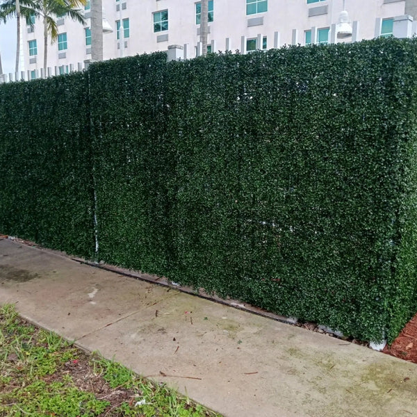 English Boxwood Artificial Hedge Panel 1m x 1m - UV Certified - image 12