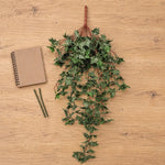 English Hanging Fake Ivy Bush 80cm UV Resistant (Indoor / Outdoor) - Designer Vertical Gardens 80cm hanging plants australia artificial english ivy bush