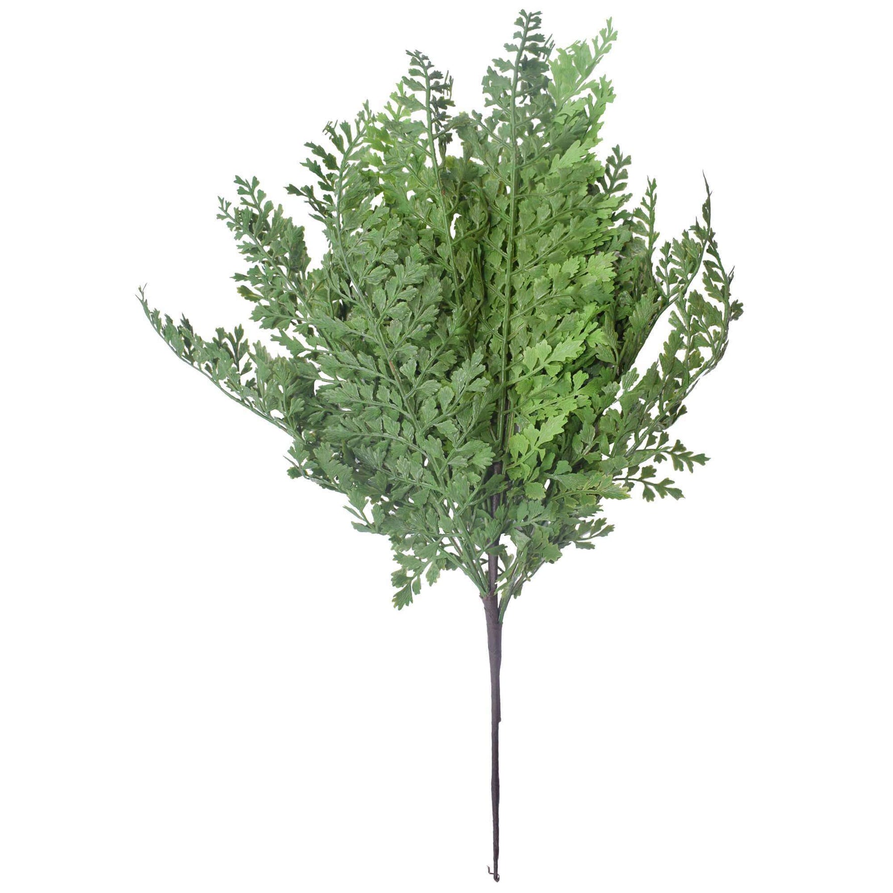 Faux Green Maiden Hair Fern Stem 40cm - Designer Vertical Gardens artificial fern artificial green wall sydney