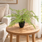 Faux Small Potted Fern 35cm - Designer Vertical Gardens artificial green wall sydney Artificial Shrubs and Small plants