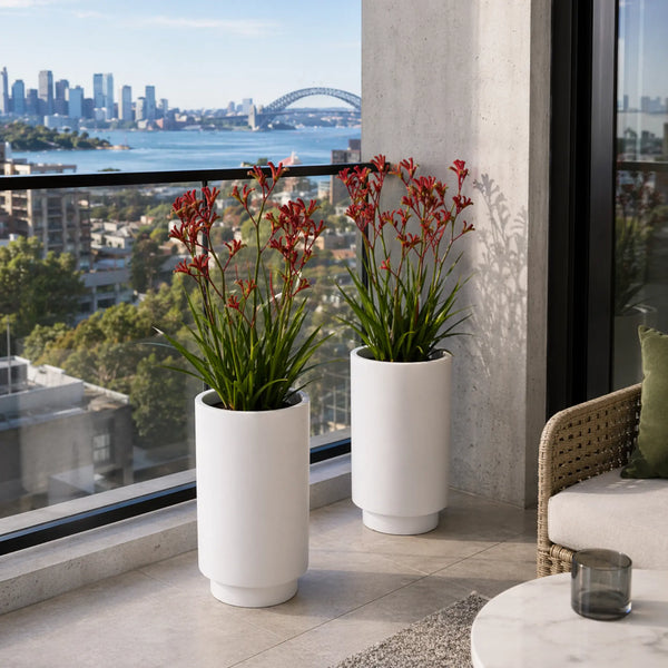 Luxury Cylinder Planter 40cm | Matt Black & White | Premium Pot Range — gallery image 5