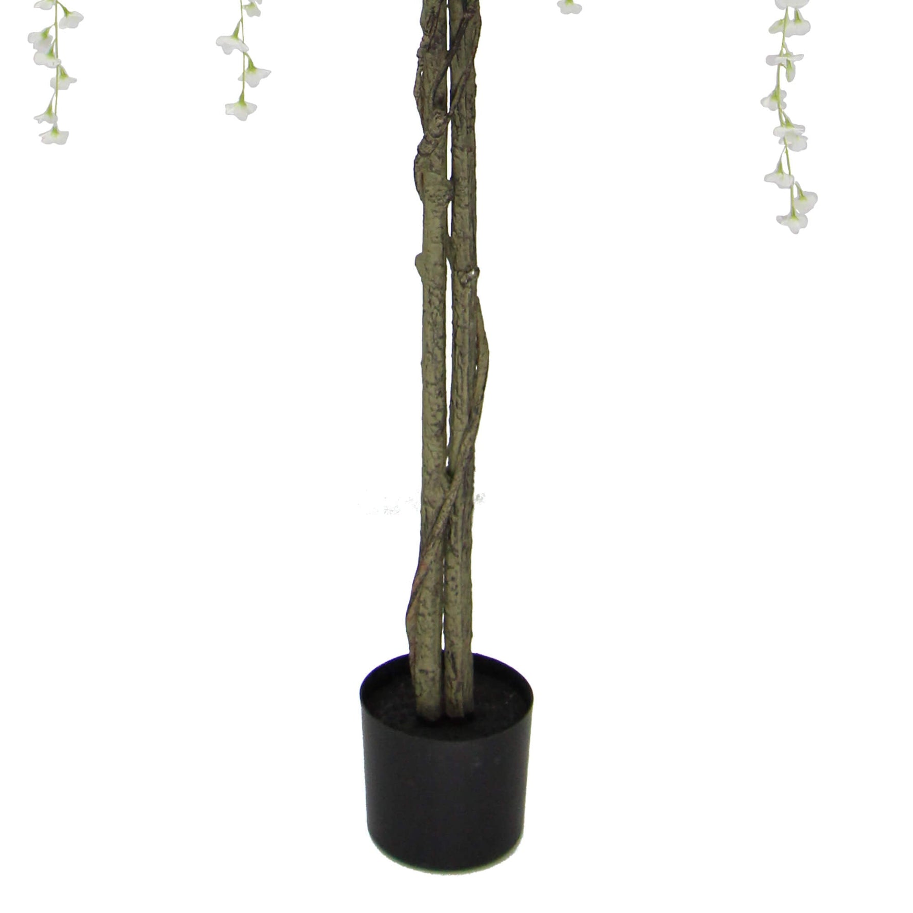 Potted plant with decorative branches and hanging flowers on a white background