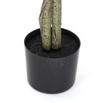 Cylindrical black pot with a plant on a white background