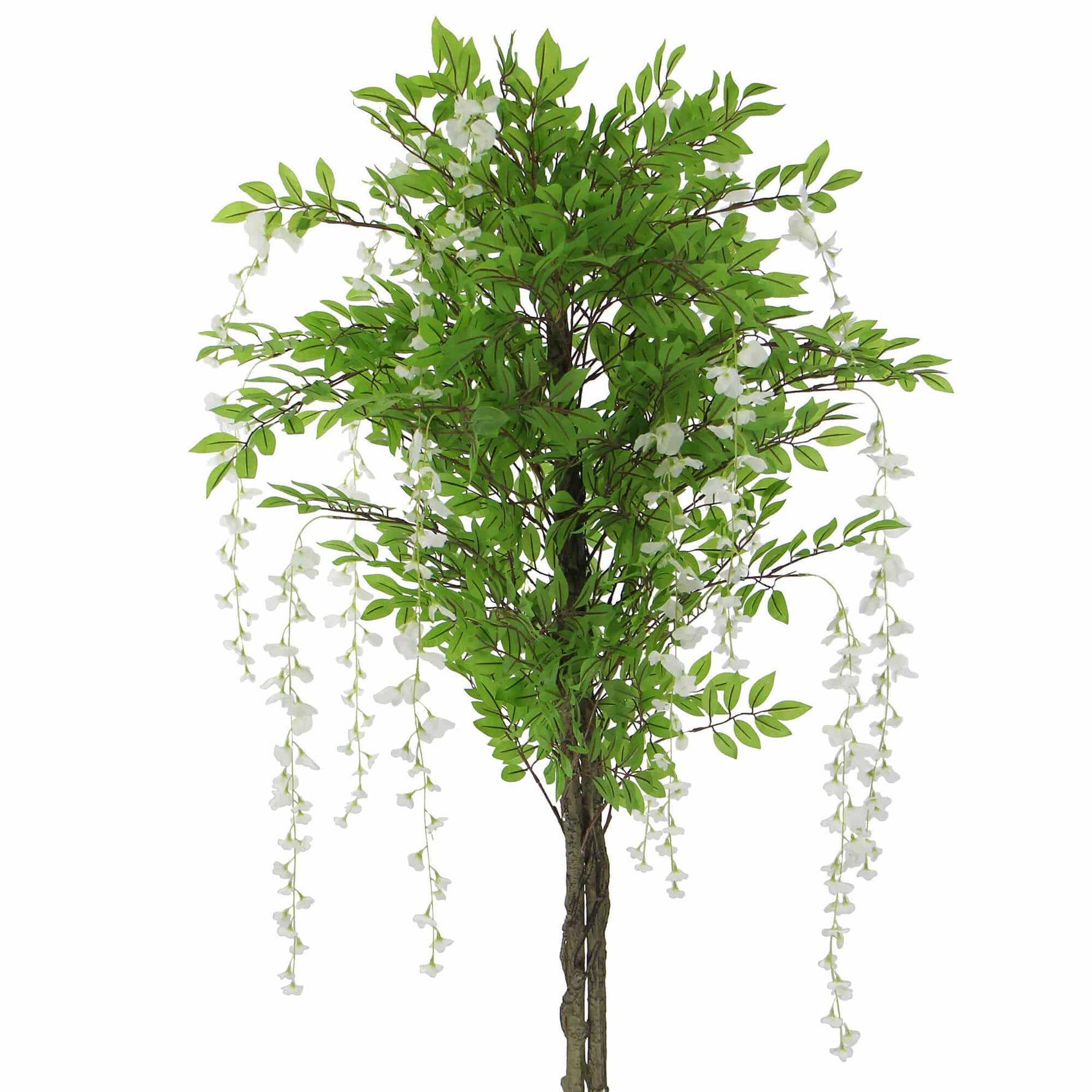 Artificial wisteria tree with green leaves and white flowers on a white background