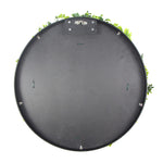 Top view of a round black object with greenery on a white background