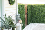 Outdoor patio area with plants and a wooden door leading to a garden.